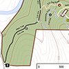 High School Forest & Bald Hill Trails