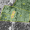 Westminster, Vermont Orthophoto Series